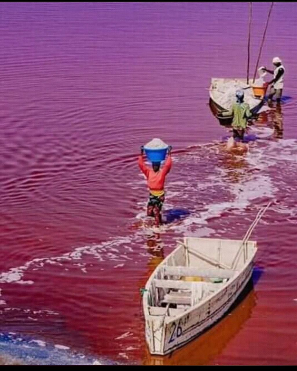 Lac Rose